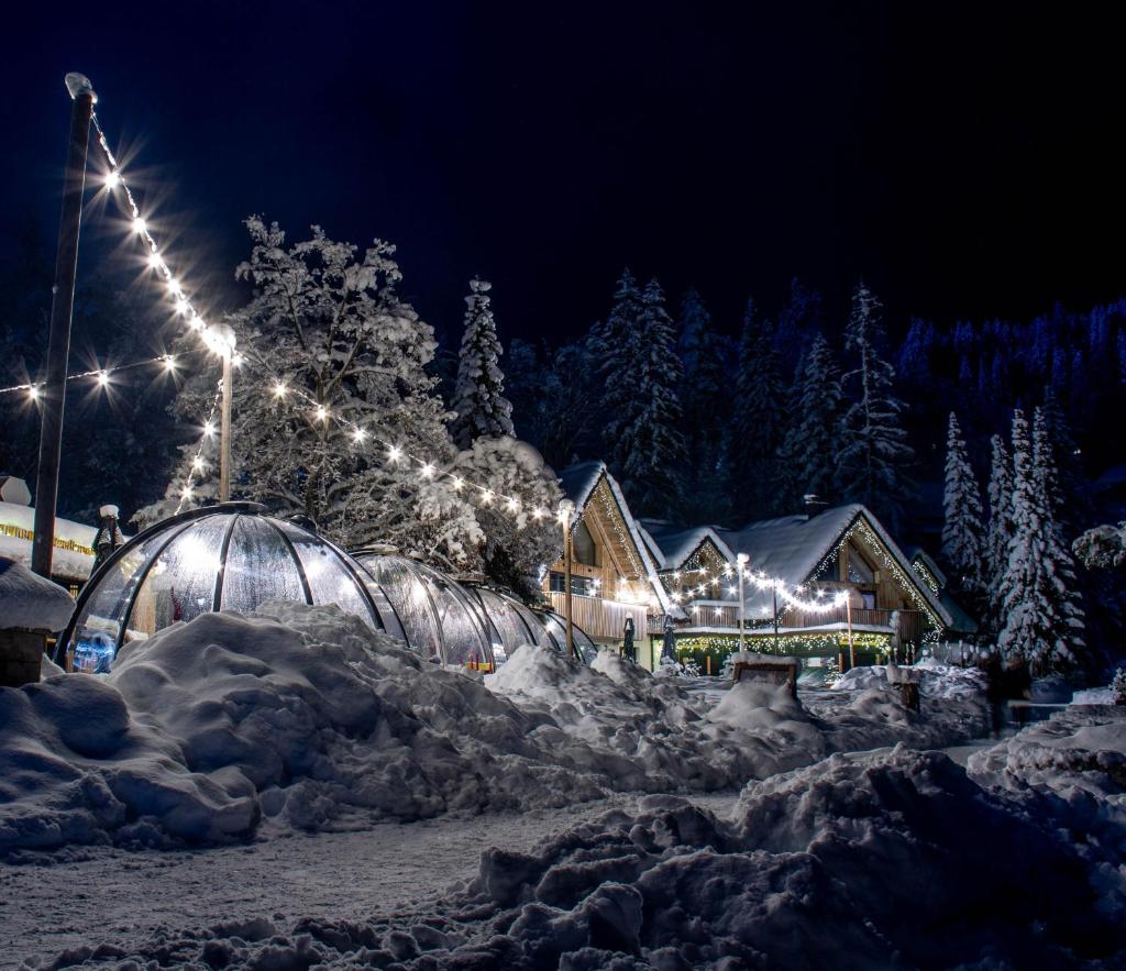 Jasna Chalet Resort photo 3