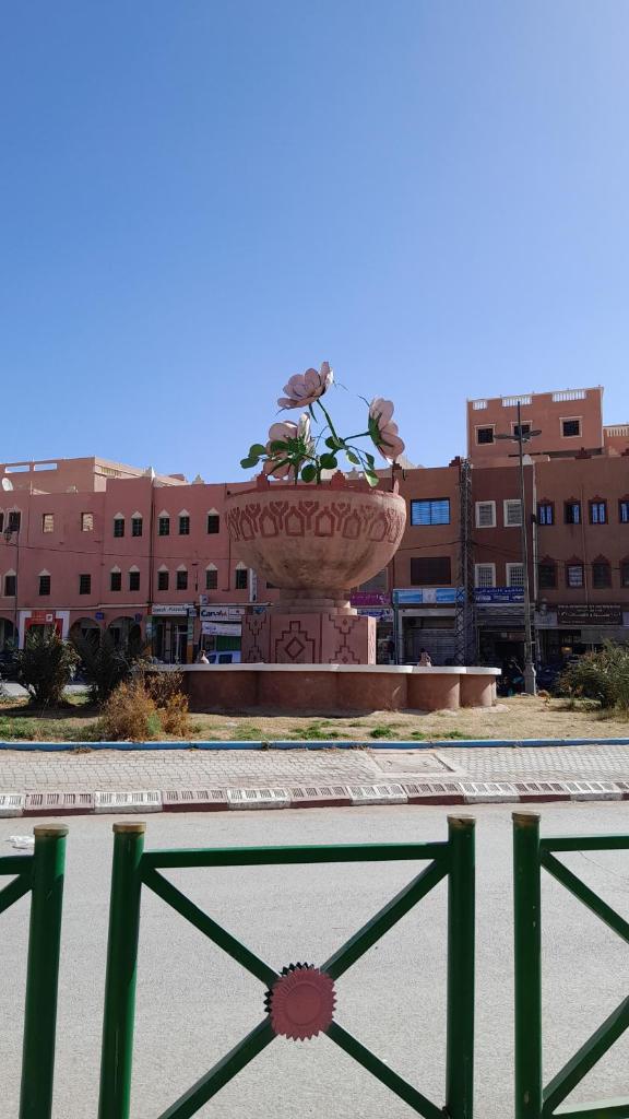 Tikiwt Hostel photo 2