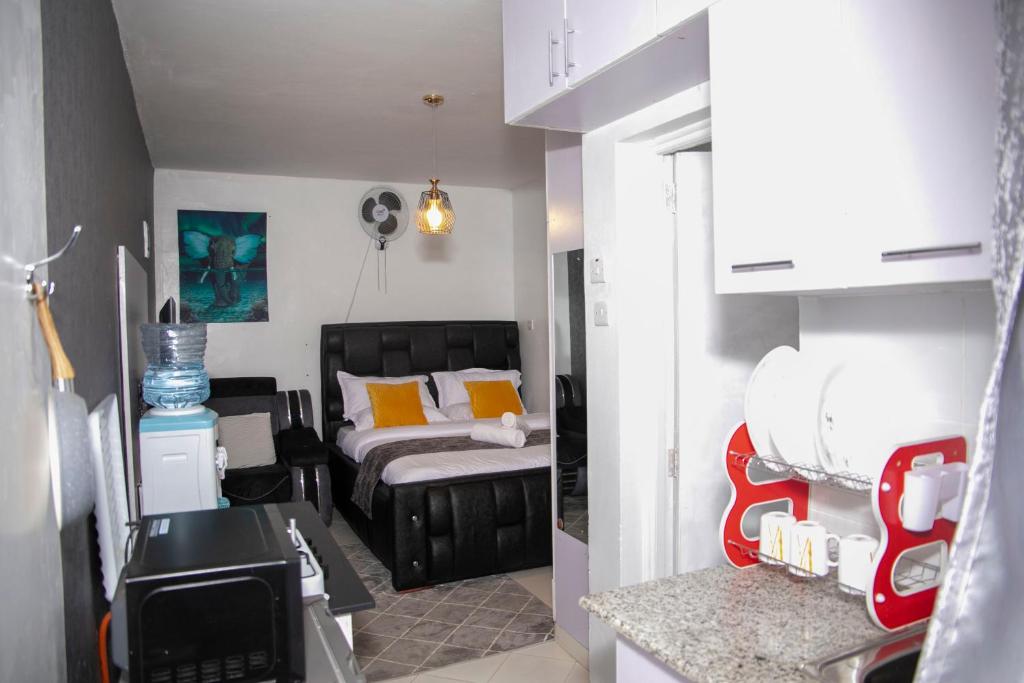 Aliana Naka Furnished Studio Nakuru City photo 1