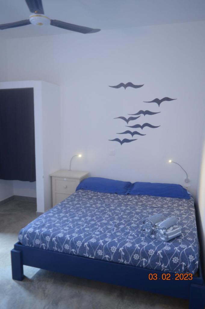 LA VELA photo 2