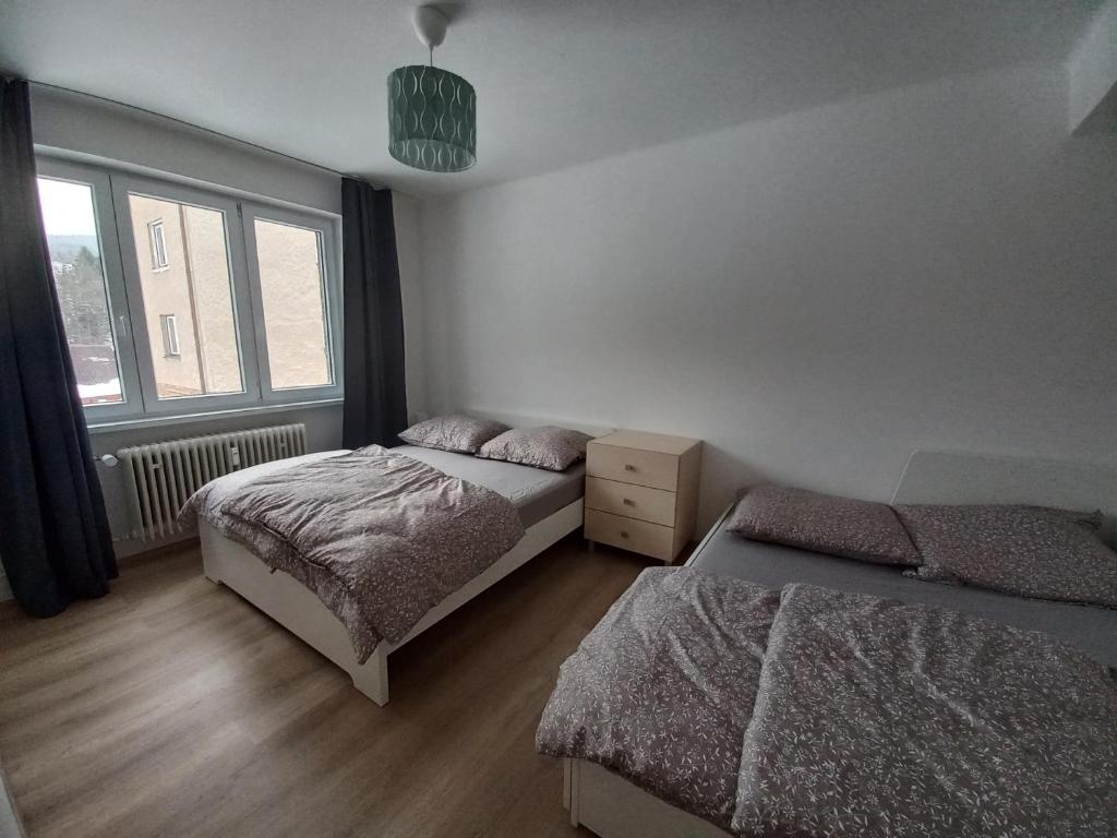 Zlatá Olešnice, pomezí Jizerek a Krkonoš photo 3
