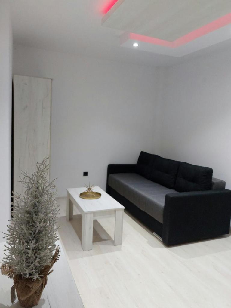 Apartman Aleksić u centru grada photo 3