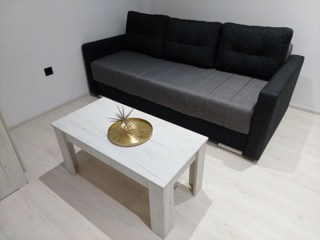 Apartman Aleksić u centru grada photo 4