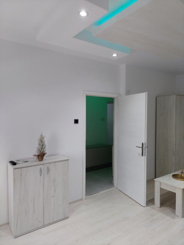 Apartman Aleksić u centru grada photo 2