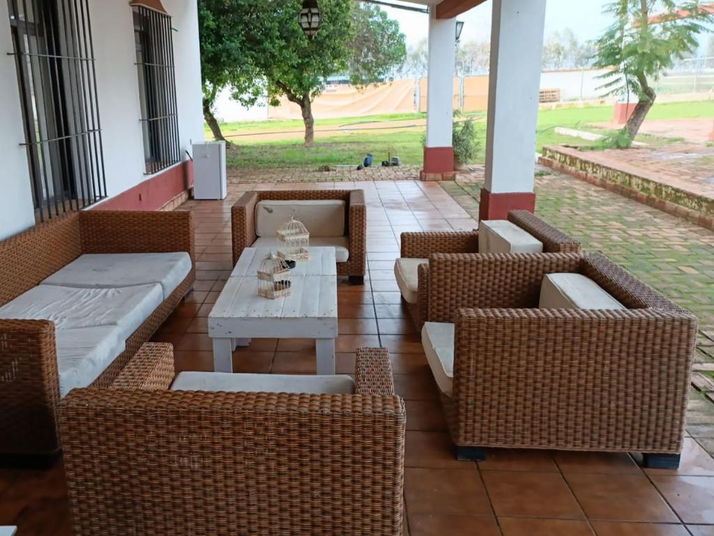 Cortijo la amazona photo 3
