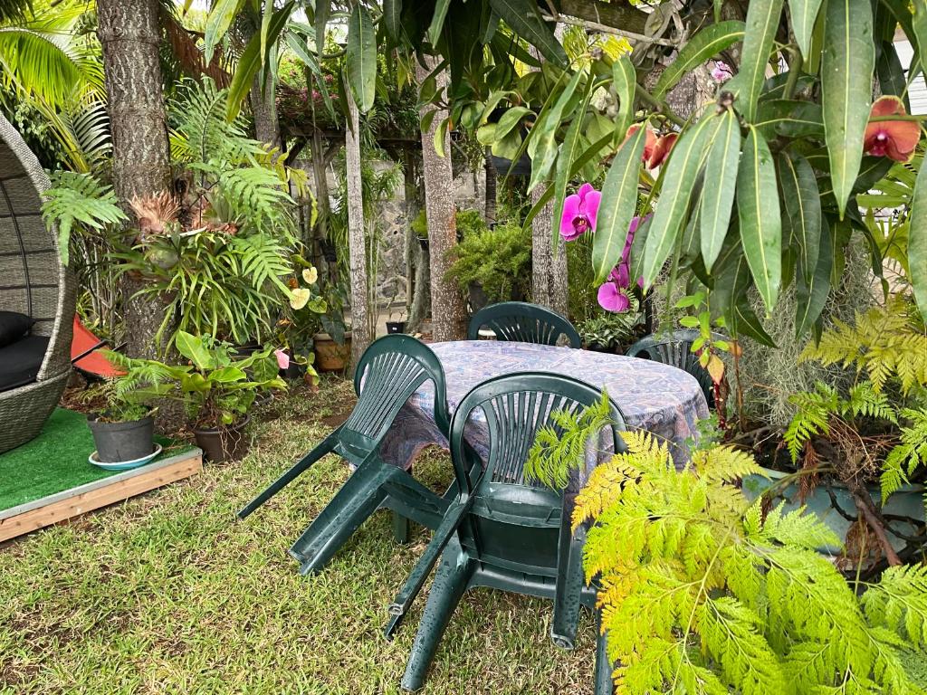 L’anthurium photo 1