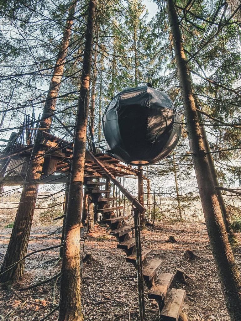 Nature calls - tree tents photo 3