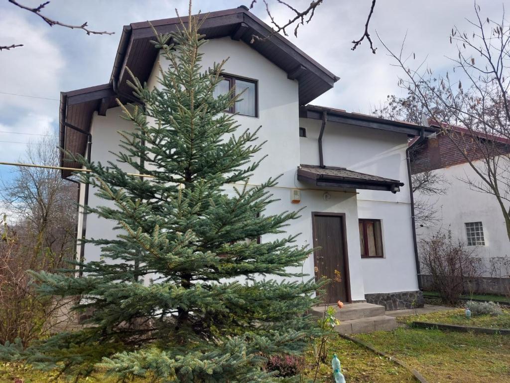 Casa Vlazilor photo 1