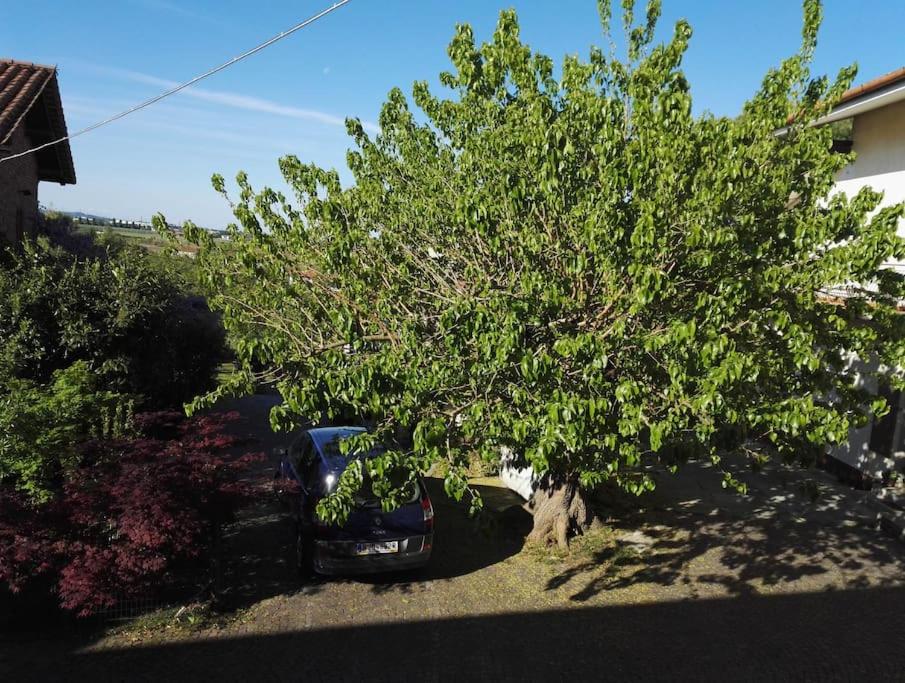 Casa delle More - Blackberry House photo 4