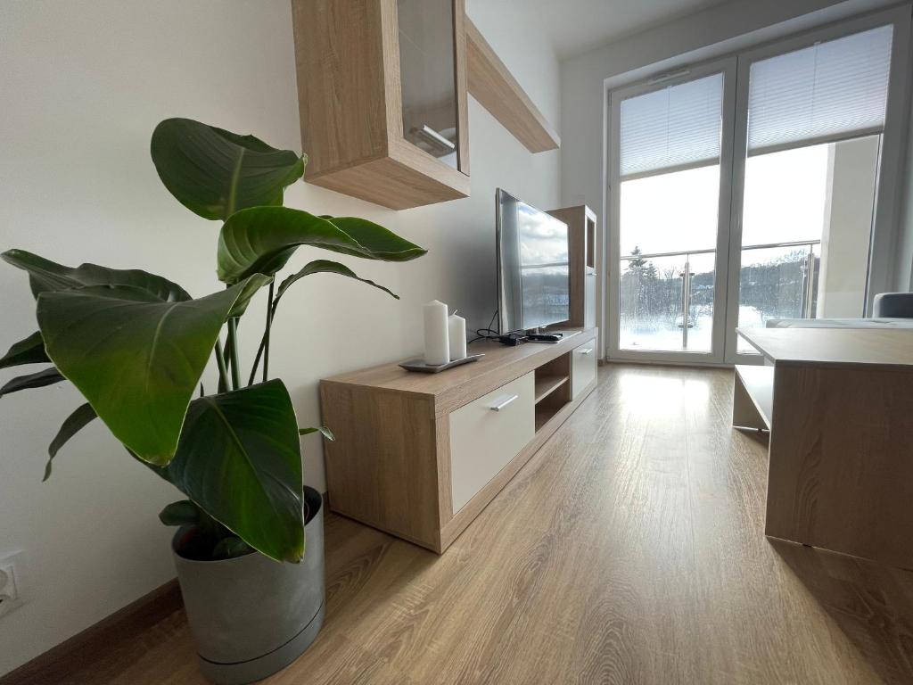 Vip Apartament LAUROWA photo 1
