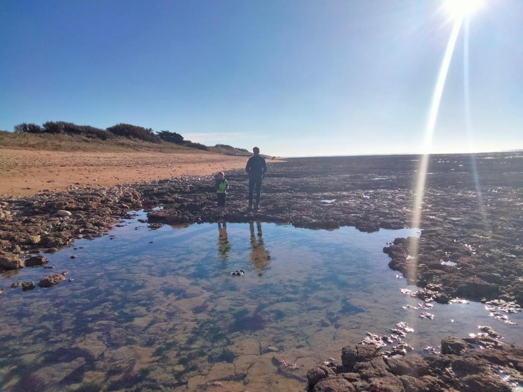 Les Pieds Dans L'eau Accés direct à la plage photo 2