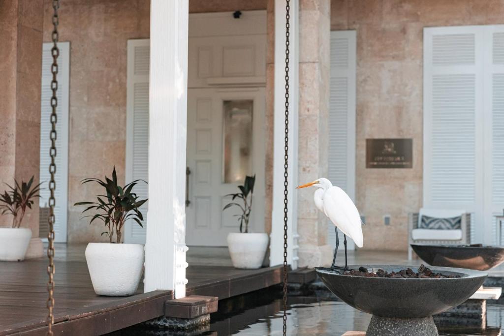 St. Regis Bahia Beach Resort, Puerto Rico photo 3