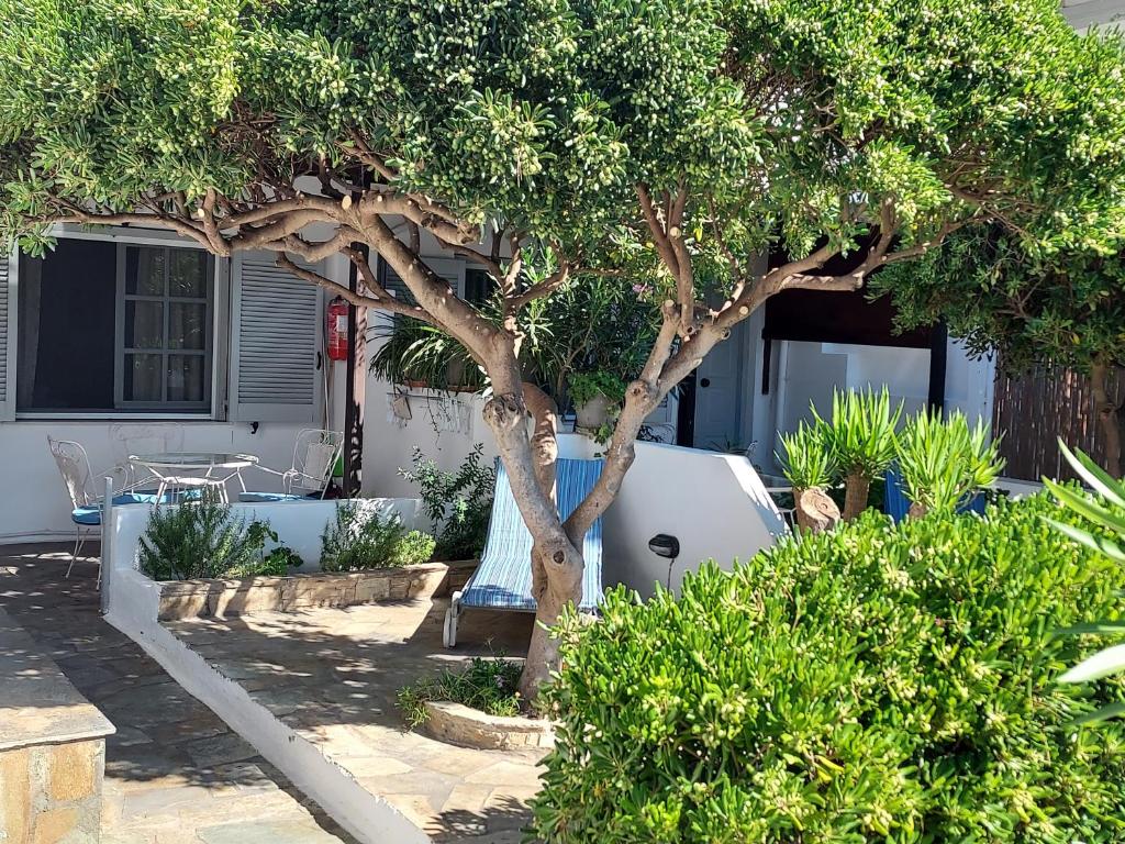 Villa Arni Andros photo 4