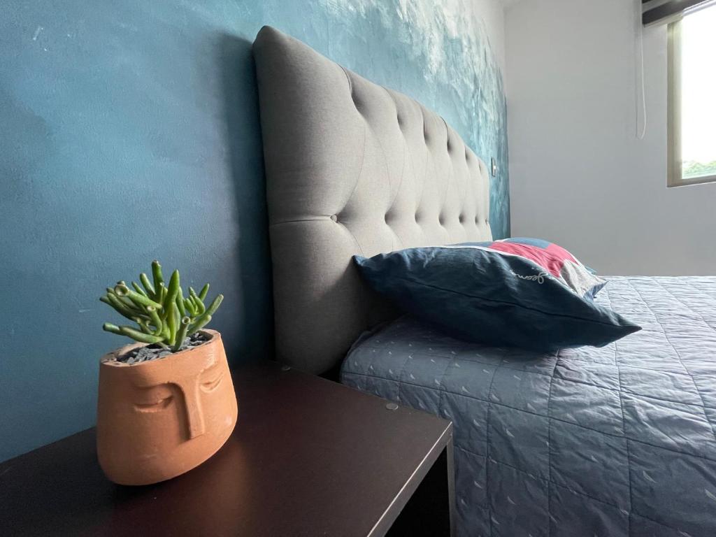 Equiped private rooms at nice residence in Morelia photo 4