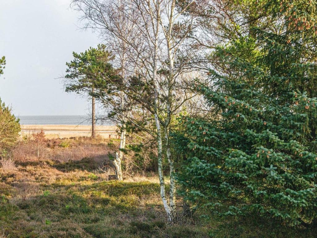 Holiday home Rømø CXXV photo 2