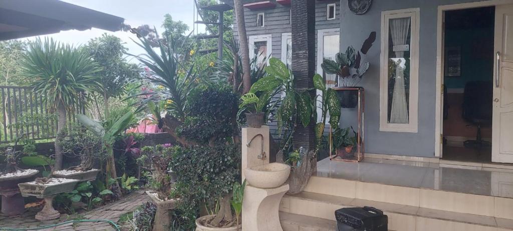 Akria Bed and breakfast photo 4