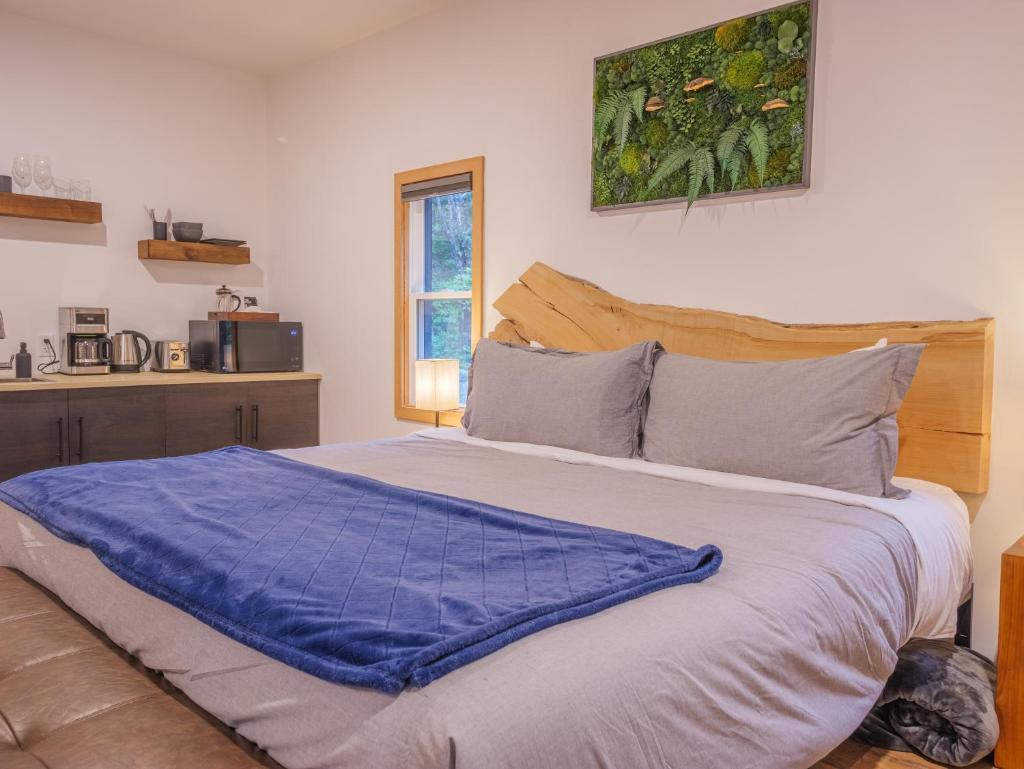 Winter's Hideaway Suite photo 4