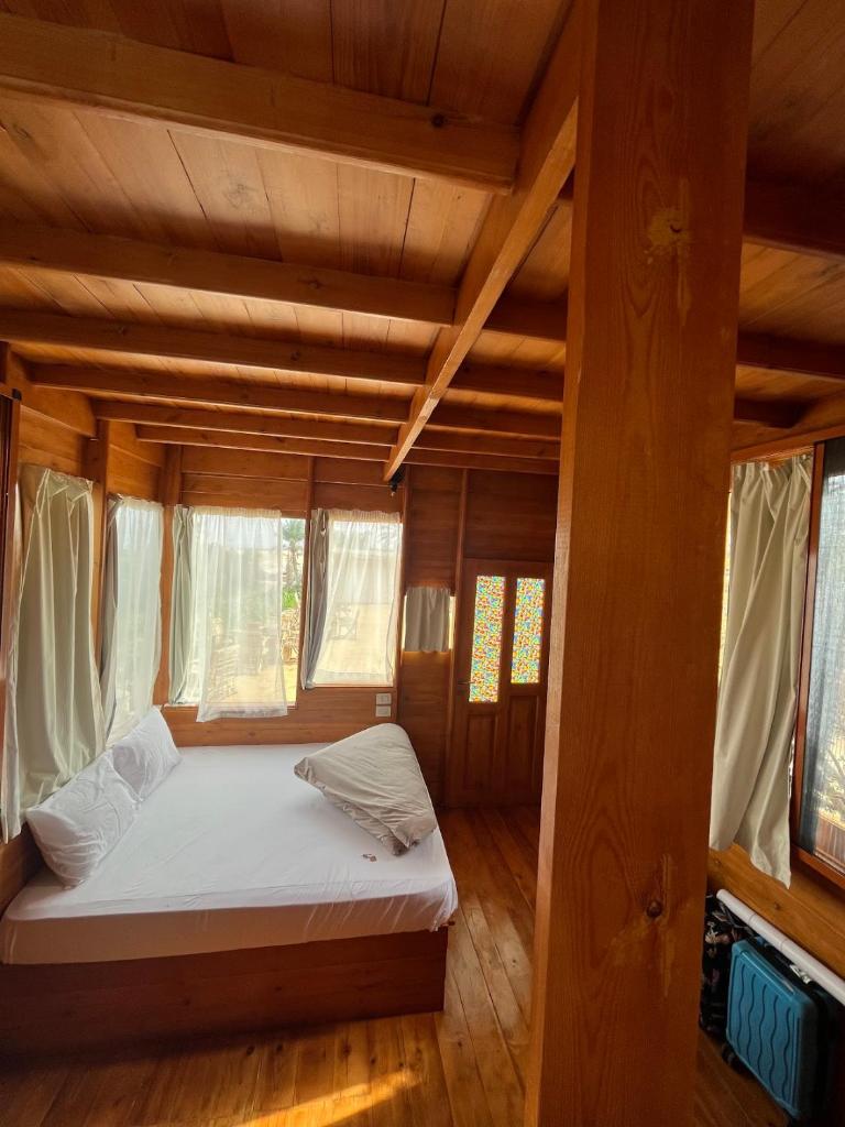 Mangrove Camp Fayoum