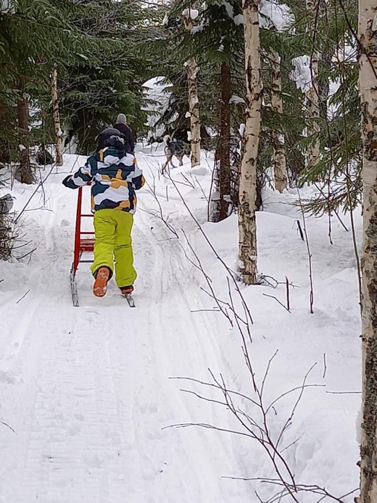Metsälä photo 4