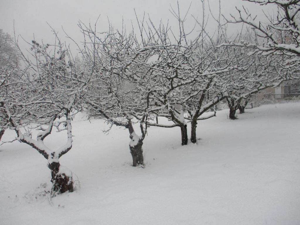 La Pommeraie photo 4
