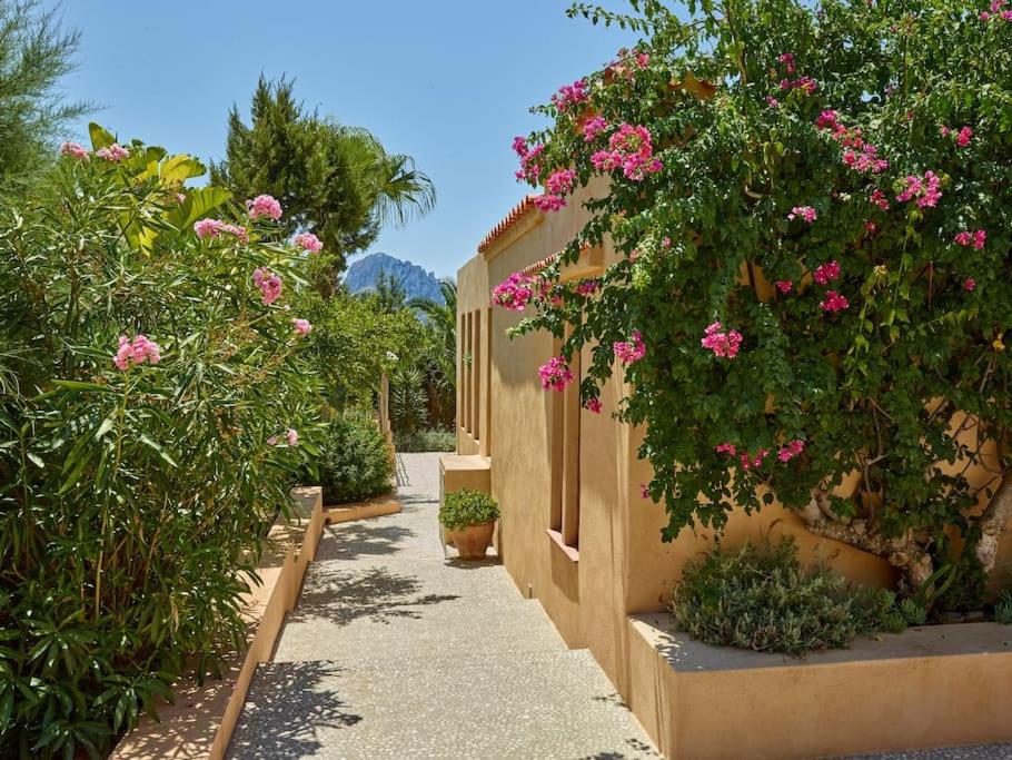 Kasbah 1 photo 4