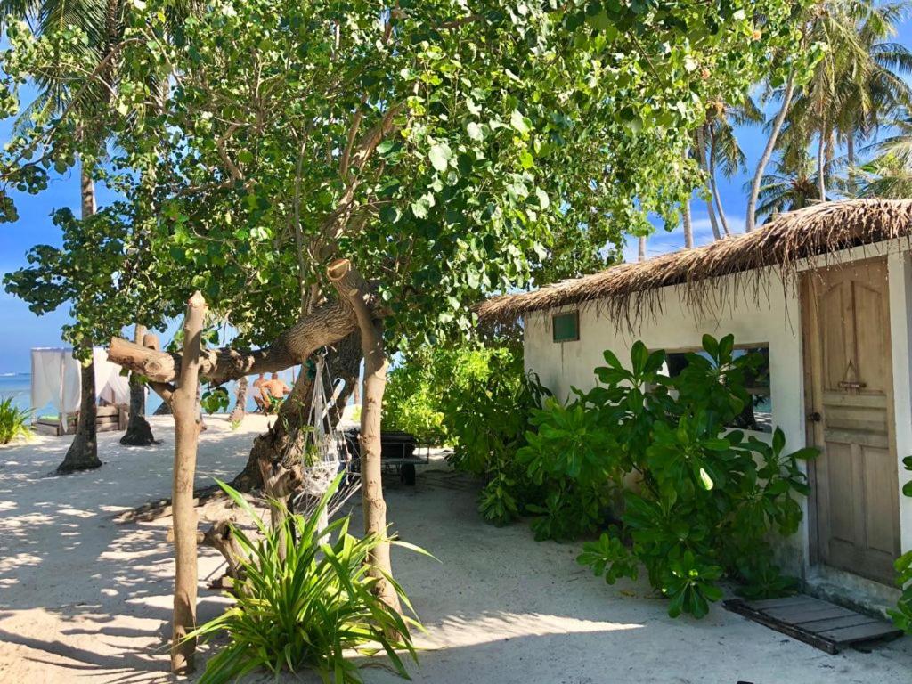 Samura Maldives Guest House Thulusdhoo photo 4