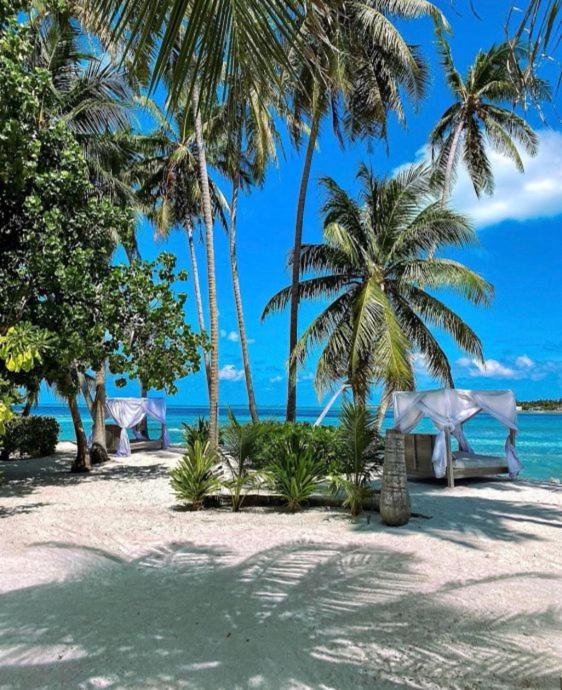 Samura Maldives Guest House Thulusdhoo photo 3