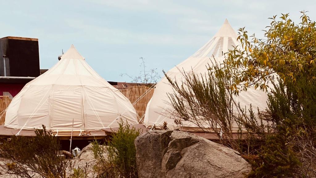 Totoralillo Glamping photo 2