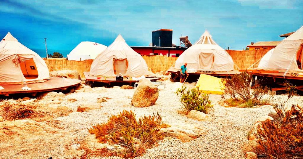 Totoralillo Glamping photo 4
