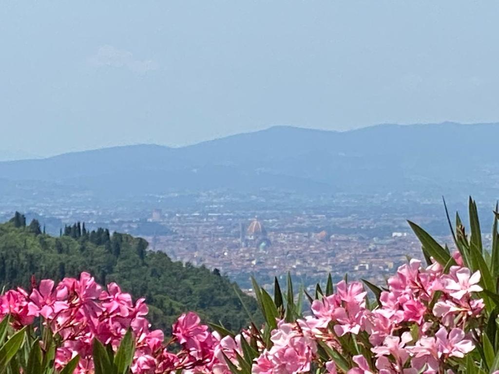 Florence Villa Violetta photo 4