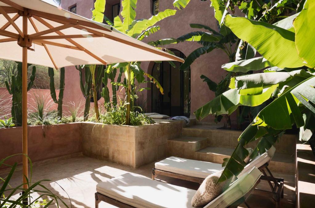 Maison Brummell Majorelle photo 4