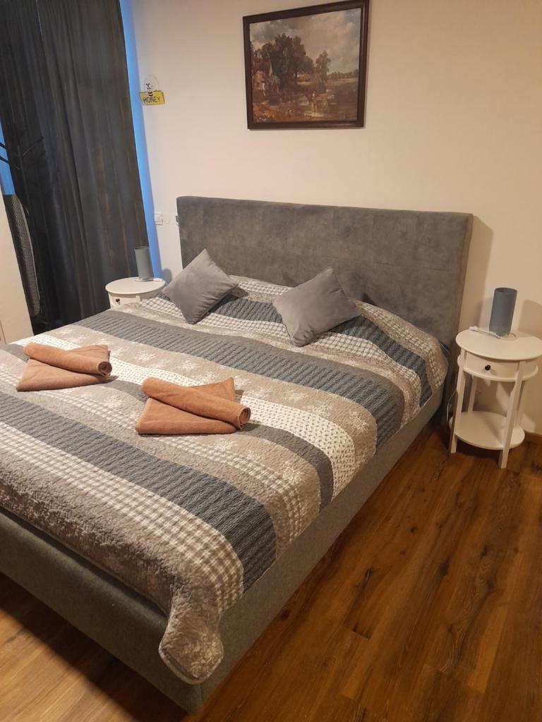 Honey Apartment Lendava photo 3