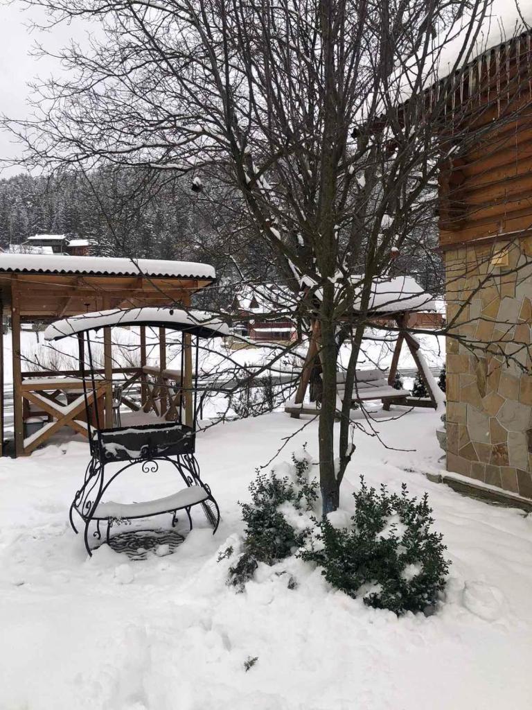 Yablunevyi Tsvit photo 4