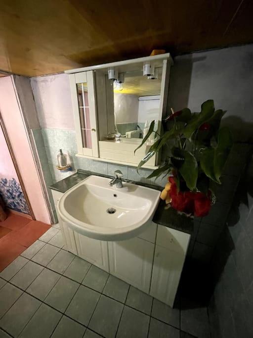 appartamento con ingresso indipendente photo 2