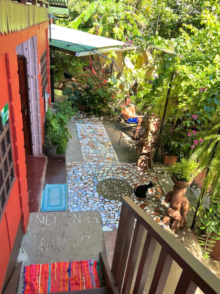 Pura Vida Hostel photo 2