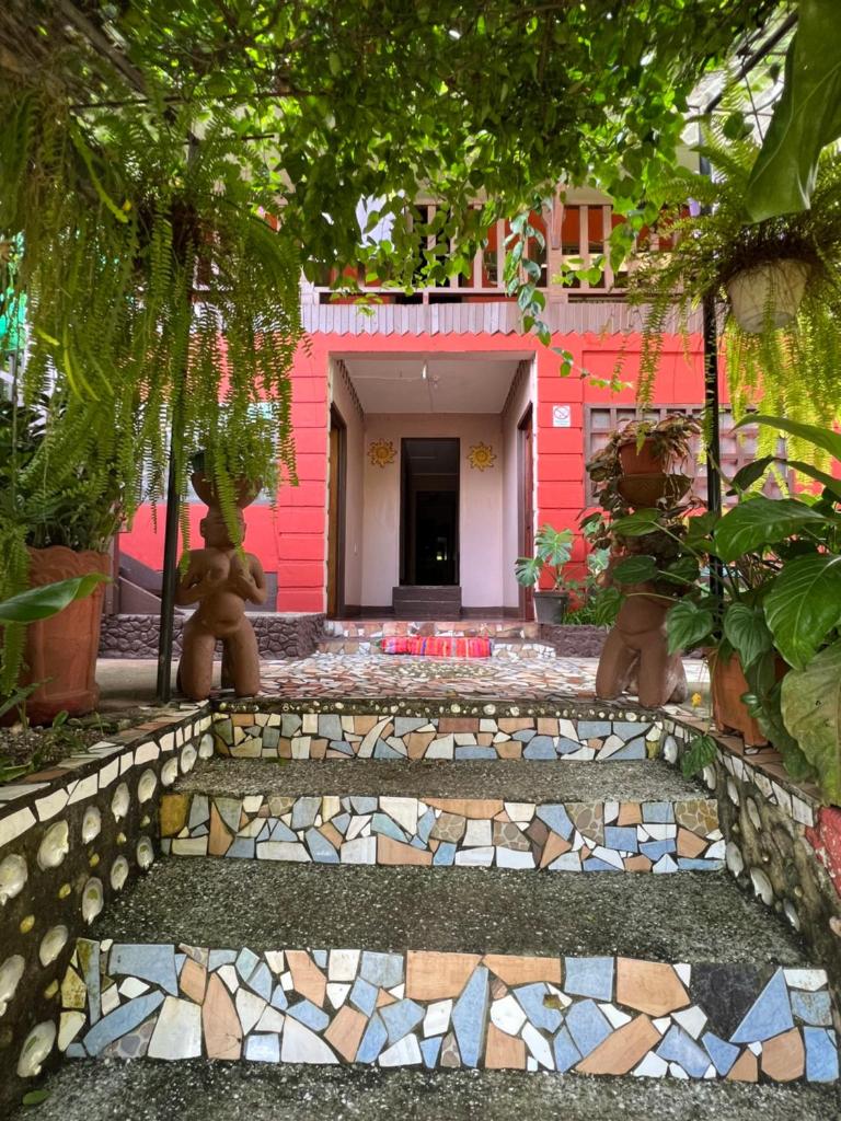 Pura Vida Hostel photo 1