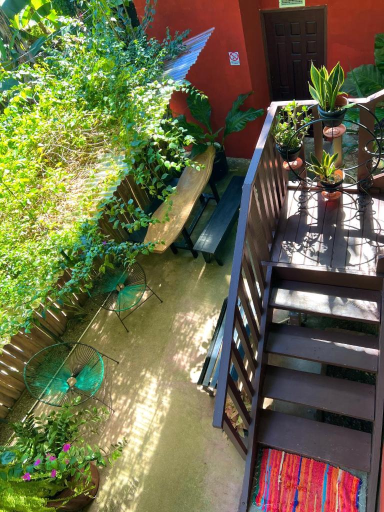 Pura Vida Hostel photo 4