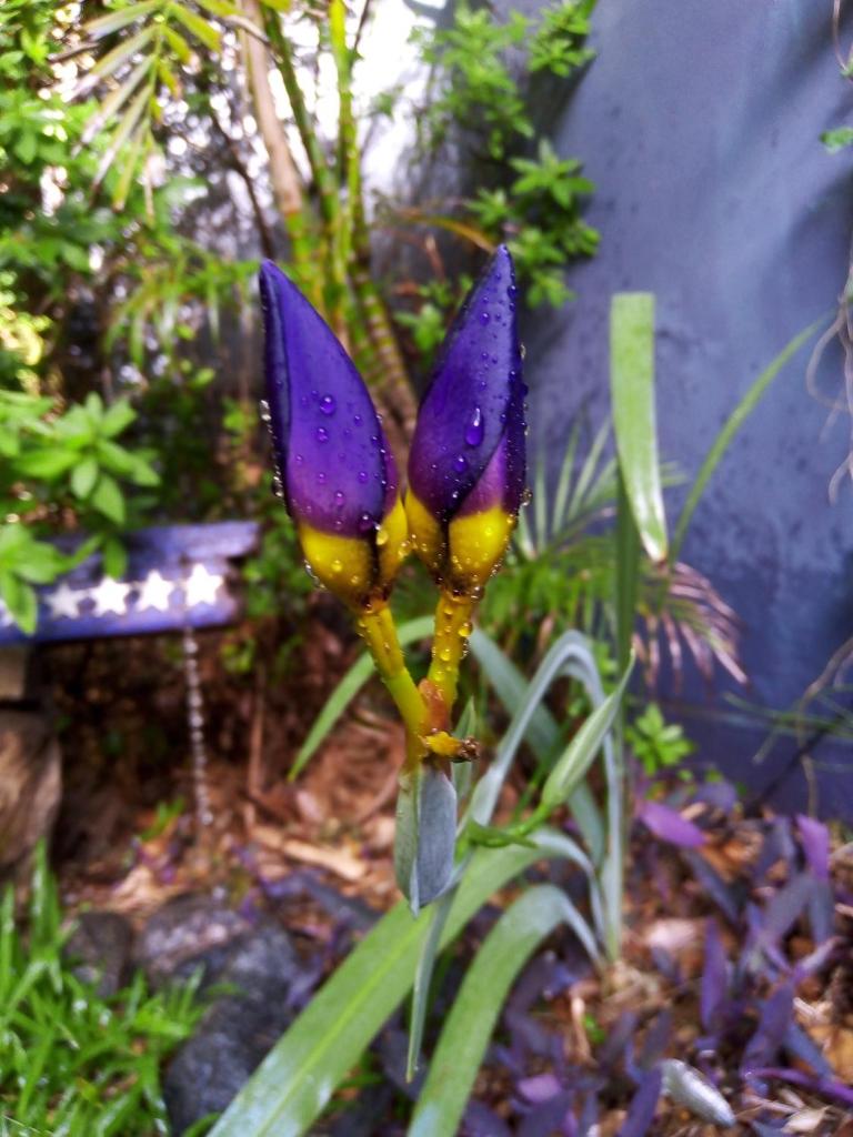 La Morada de Vicente López photo 3