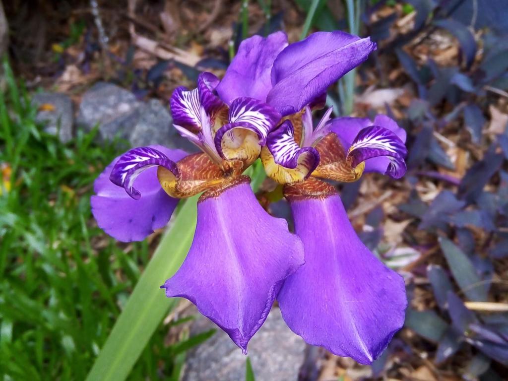 La Morada de Vicente López photo 2