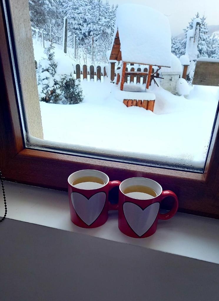 Zlatna Jabuka apartman photo 3