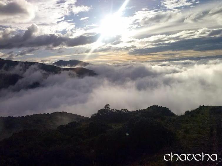 Shirma Nua Chaucha photo 2