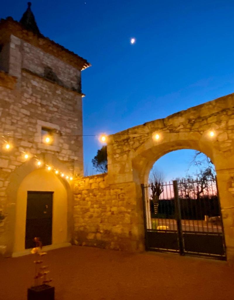 DOMAINE DE LEJOS - Portes d'Albi photo 1