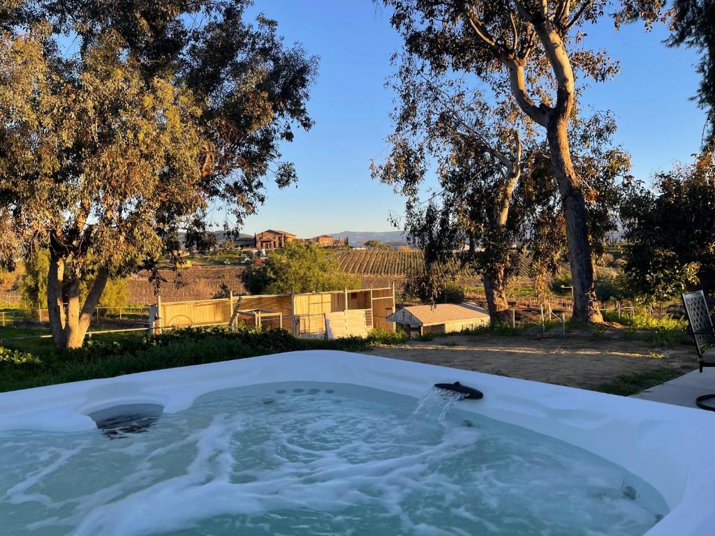 Temecula Rejuvenation photo 2