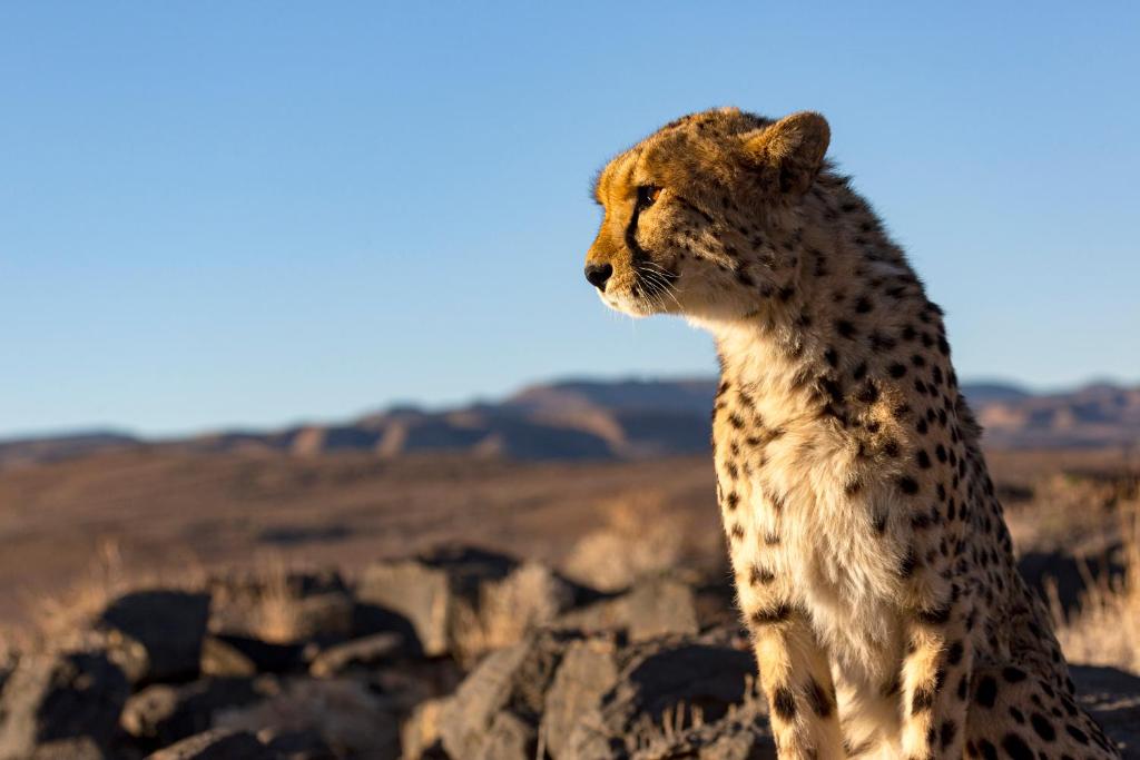 Neuras Wine and Wildlife Estate photo 3