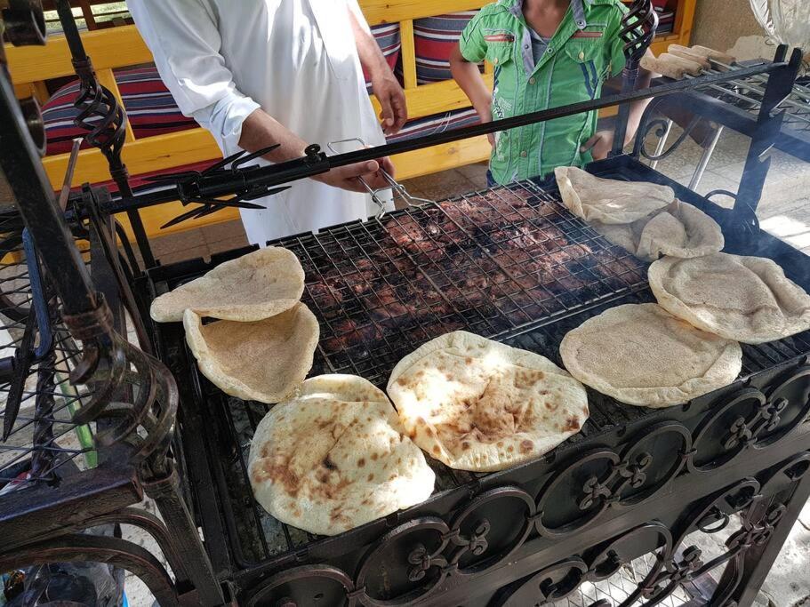 Diasty ElWazir Family BBQ Villa &Farm photo 1