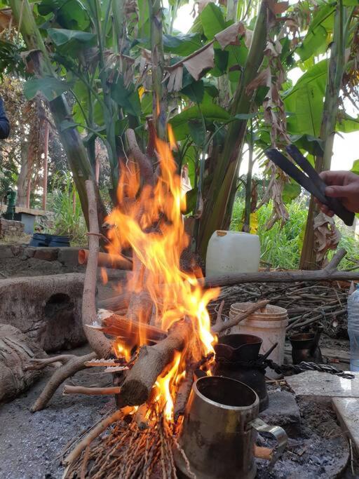 Diasty ElWazir Family BBQ Villa &Farm photo 2