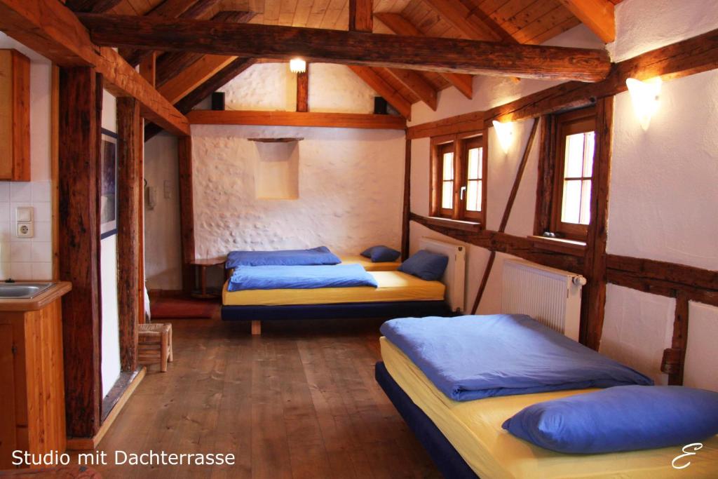 Bio-Ferienwohnung Ellensohn photo 4