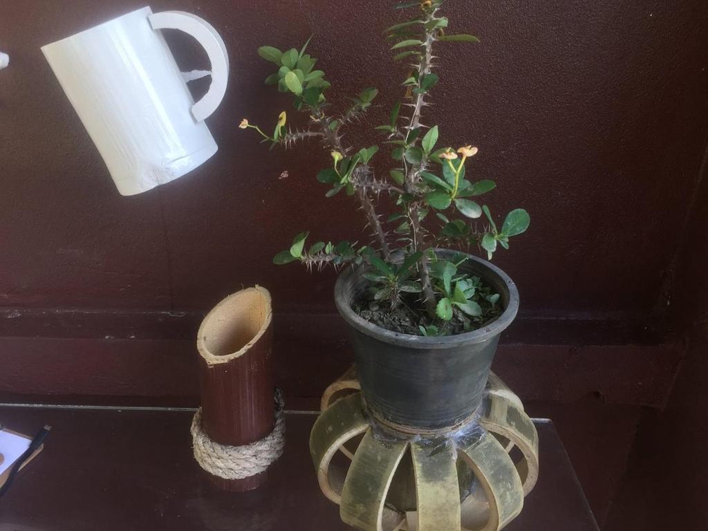 DD Guest House photo 4