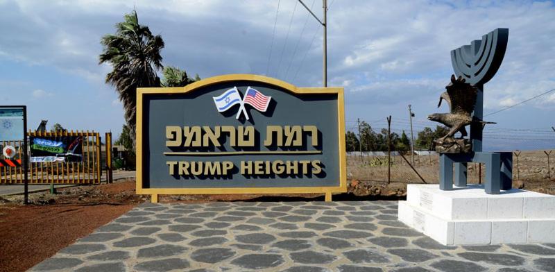 Luxury family caravan truck in the Golan Heights photo 4