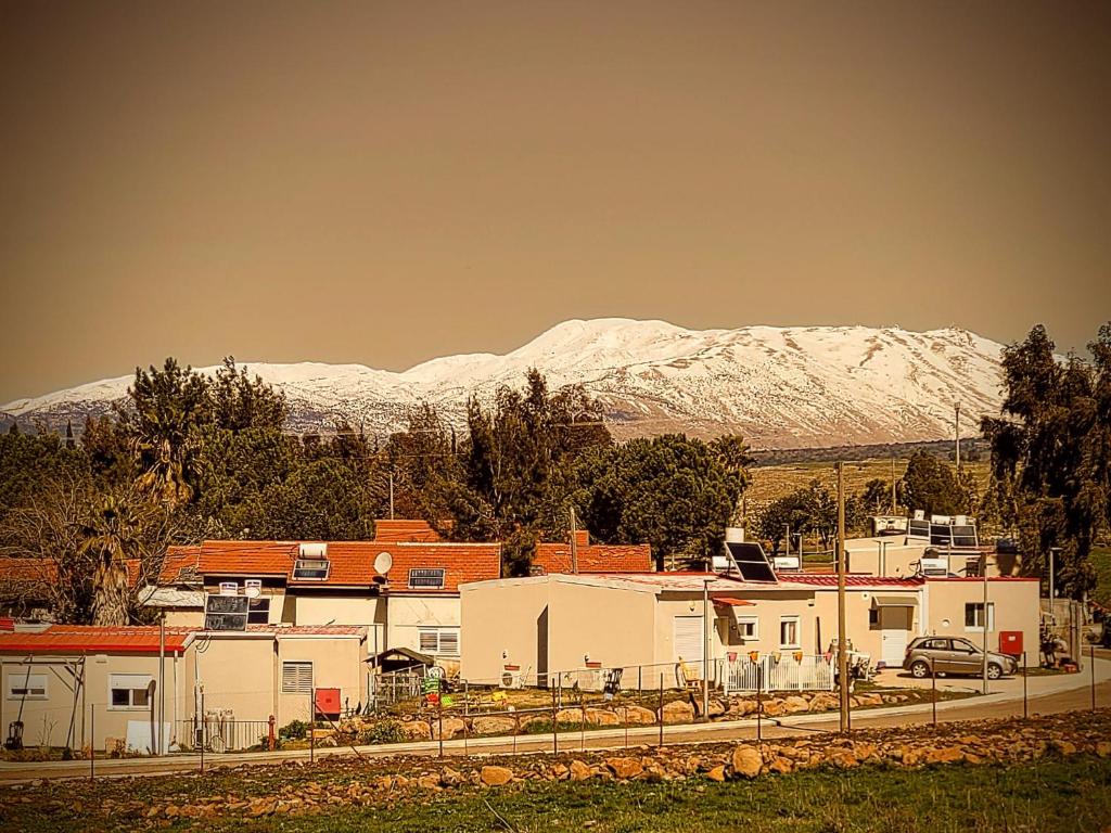 Luxury family caravan truck in the Golan Heights photo 3